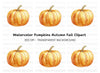 Pumpkins Clipart Bundle