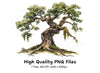 Ancient Gnarly Tree Clipart Bundle