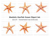 Realistic Starfish Clipart Bundle