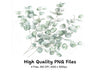 Delicate Eucalyptus Leaves Clipart Bundle