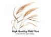 Pampas Grass Illustrations Clipart Bundle