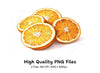 Fresh Orange Slices Clipart Bundle