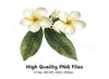 Plumeria Flower Clipart Bundle