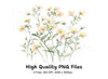 Wildflower Clipart Bundle