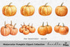 Pumpkin Clipart Bundle