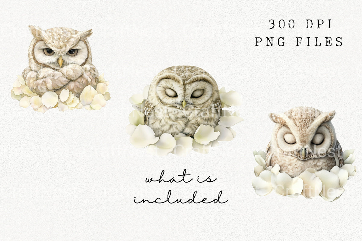 Sleeping Owl White Petals Clipart Bundle