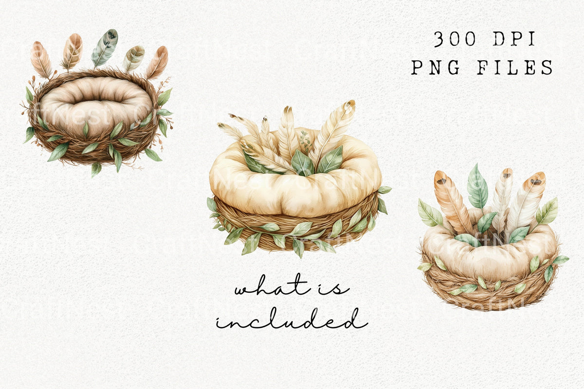 Boho Bird Nests With Feathers Clipart Bundle