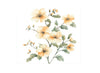 Elegant Floral Clipart Bundle