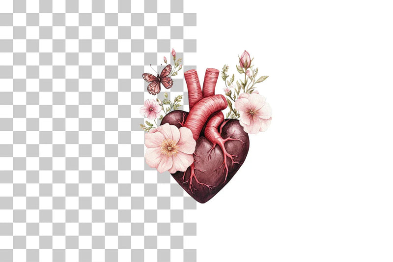 Anatomical Floral Heart with Butterflies Clipart Bundle - CraftNest - Digital Crafting and Art