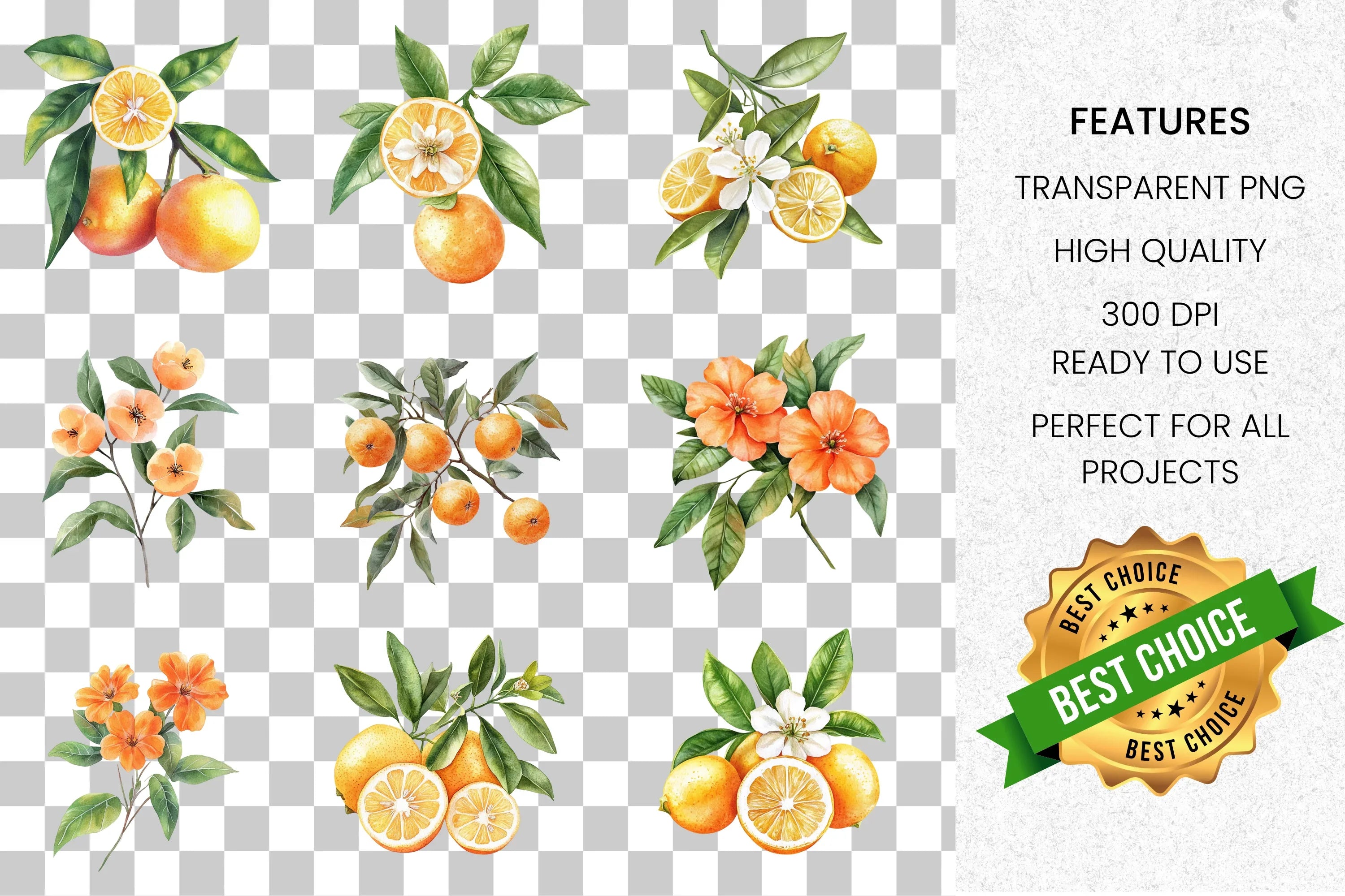 Citrus Fruits Blossoms Clipart Bundle