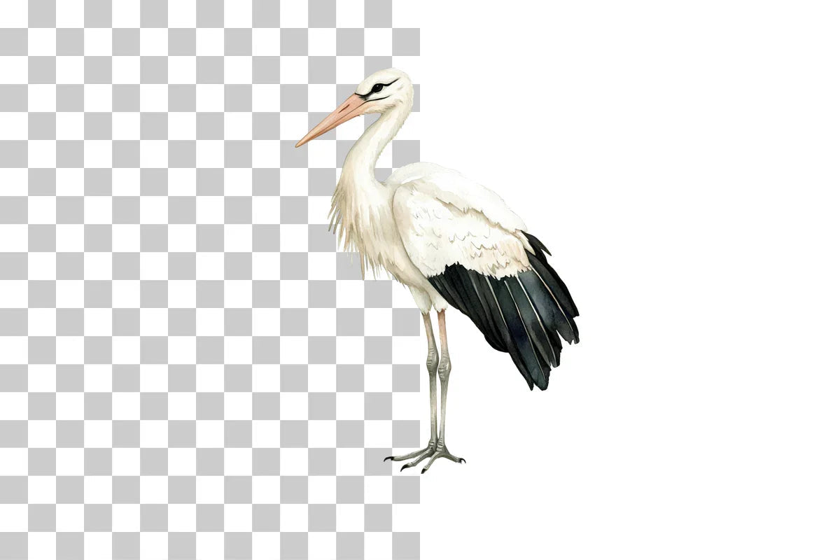 Stork Bird Clipart Bundle - CraftNest - Digital Crafting and Art