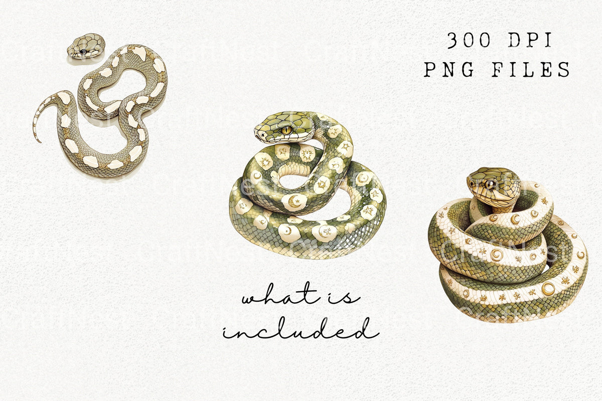 Mystical Green Snake With Symbols Designs Clipart Bundle