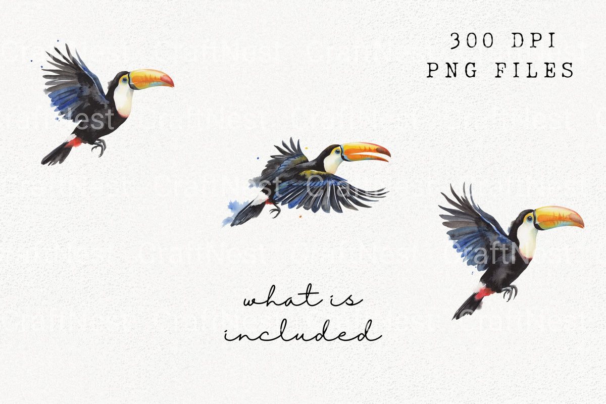 Toucan In Flight Clipart Bundle