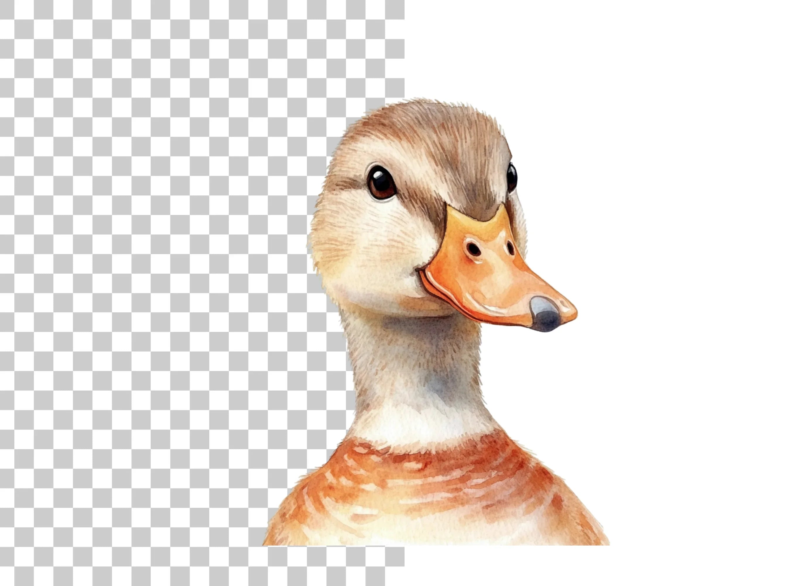 Adorable Duck Head Clipart Bundle