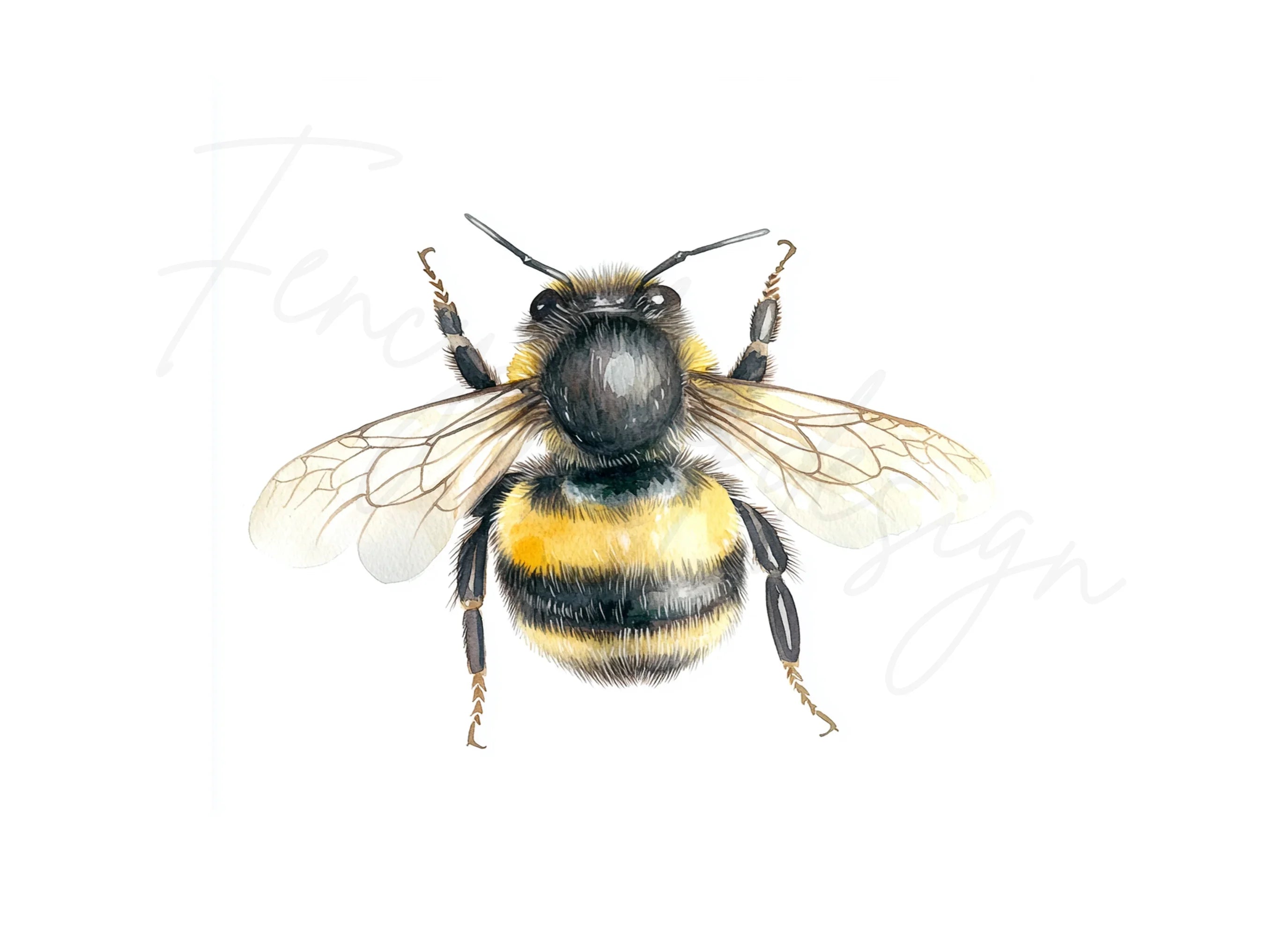 Bumble Bee Clipart Bundle