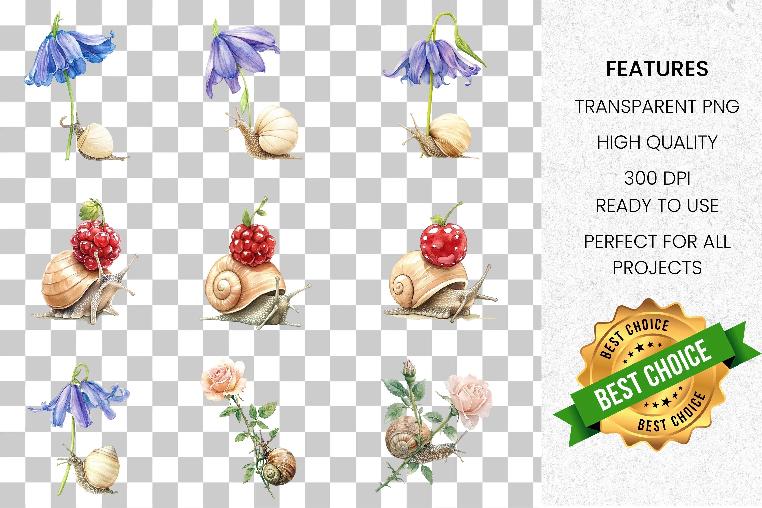 Adorable Snails with Blossoms and Fruit Clipart Bundle