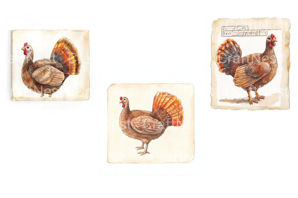 Vintage Thanksgiving Turkey Clipart Bundle