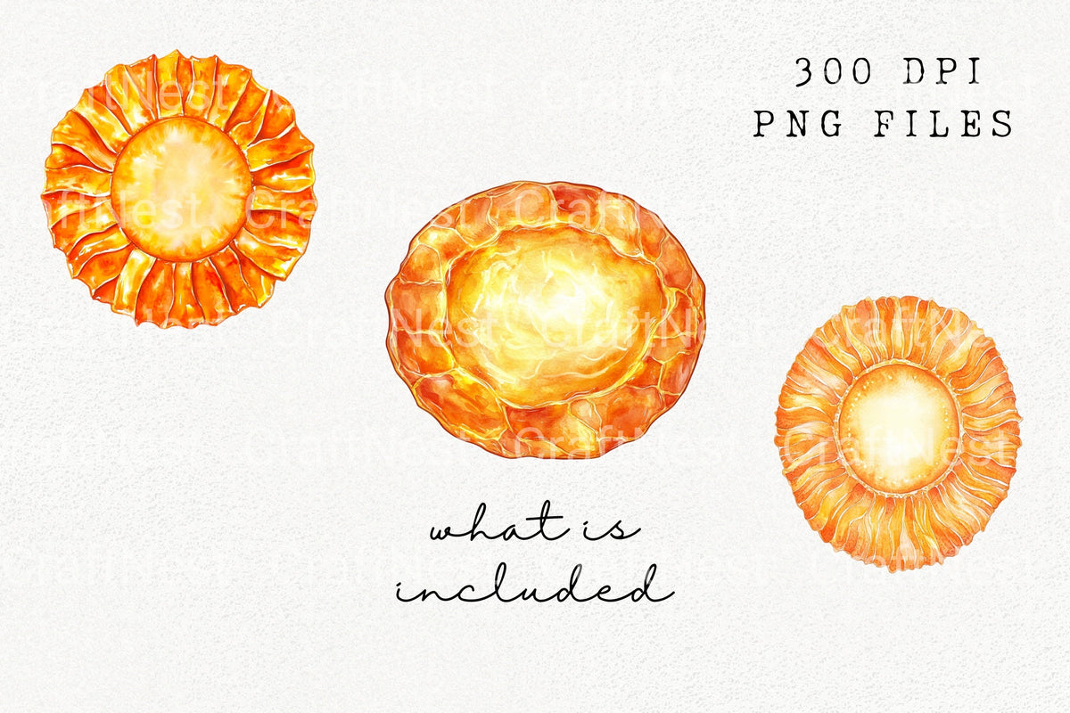 Amber Glass Bowl Clipart Bundle