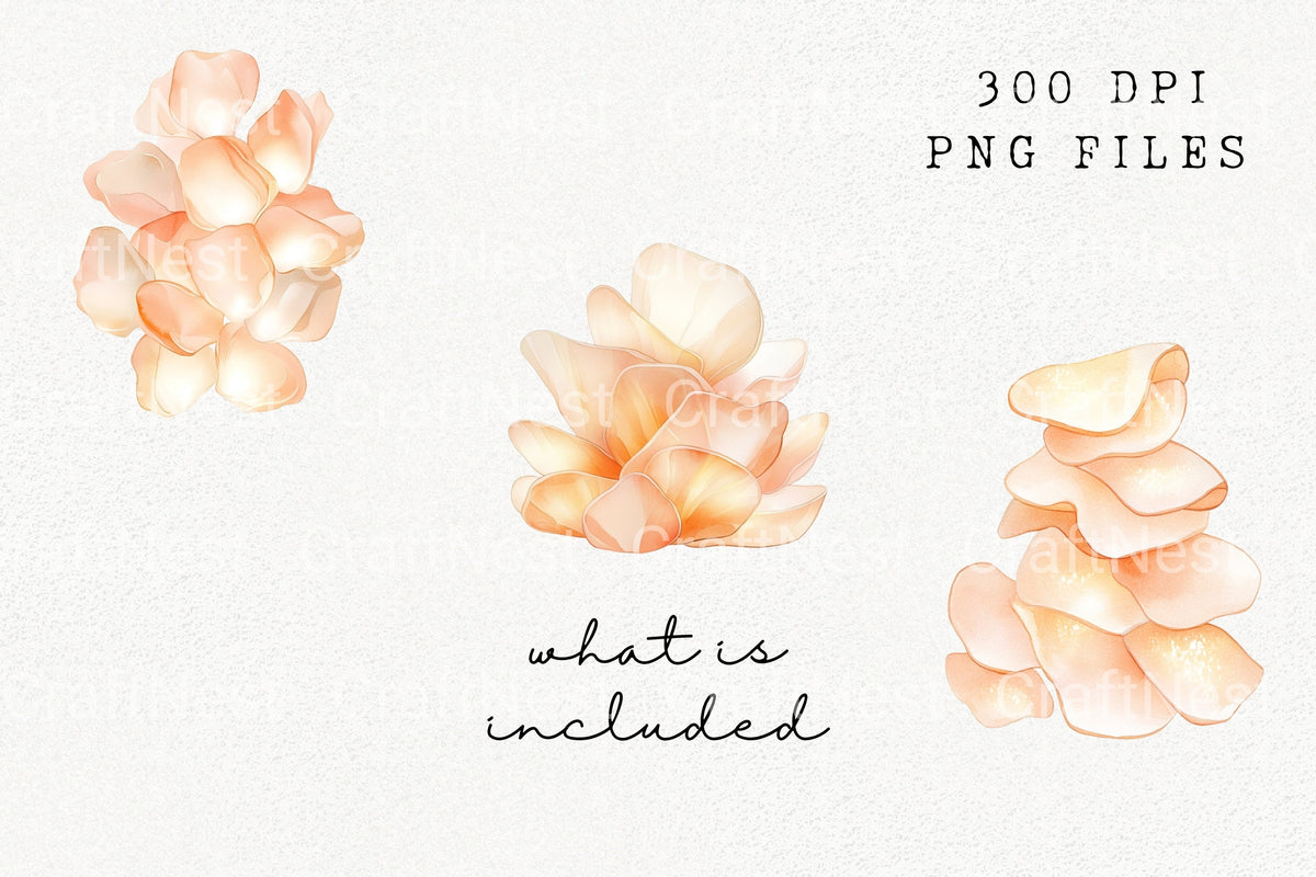 Peach Mushroom Clipart Bundle