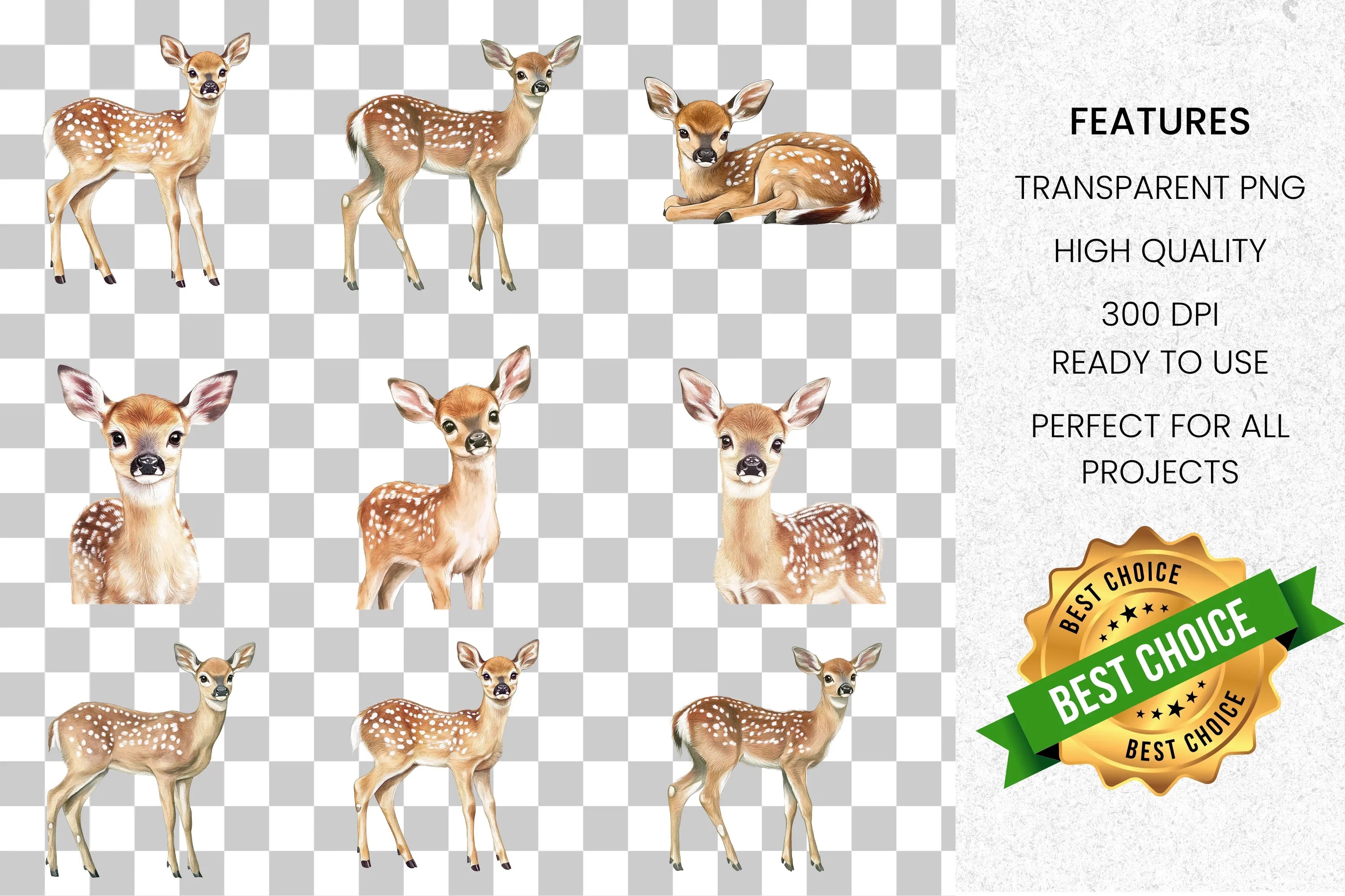 Adorable Baby Deer Fawn Clipart Bundle