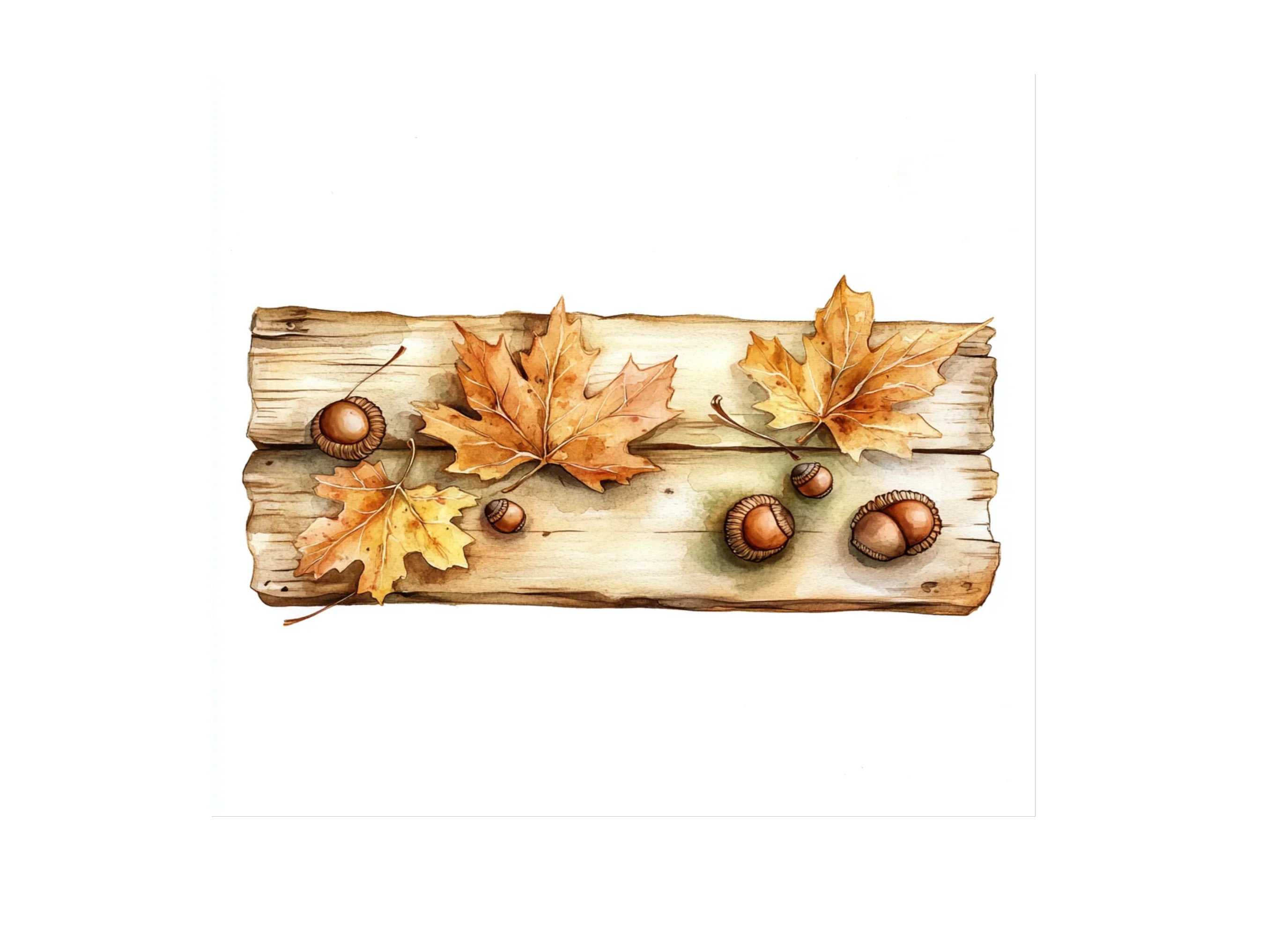 Autumn Leaves and Acorns on Wood Clipart Bundle