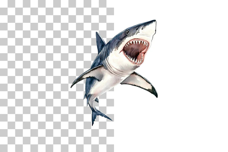 Shark Ocean Predator Clipart Bundle - CraftNest - Digital Crafting and Art