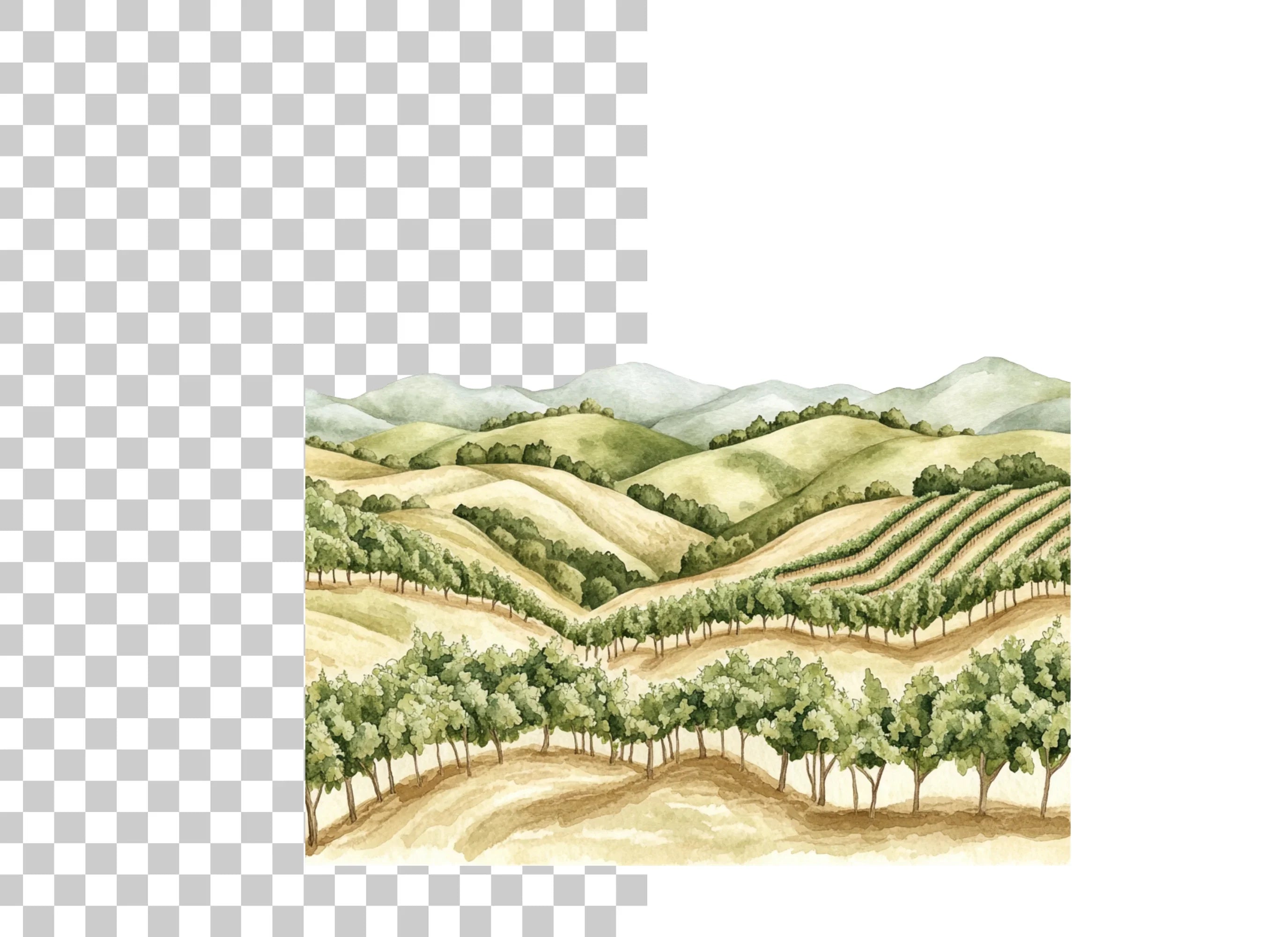 Vineyard Landscape Clipart Bundle