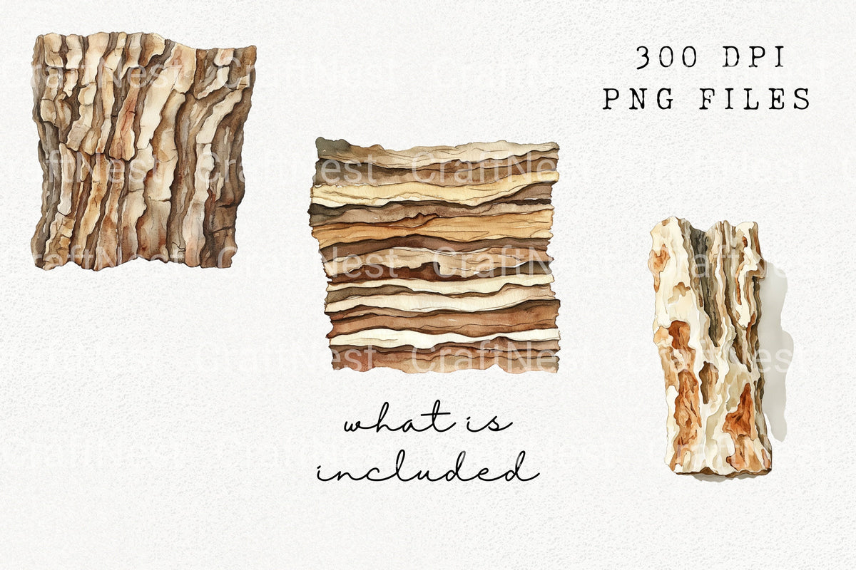 Tree Bark Texture Clipart Bundle
