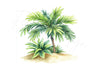 Tropical Island Palm Bush Clipart Bundle
