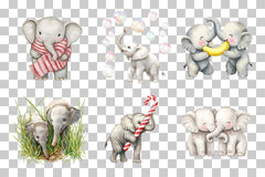 Cute Elephant Clipart Bundle - CraftNest - Digital Crafting and Art