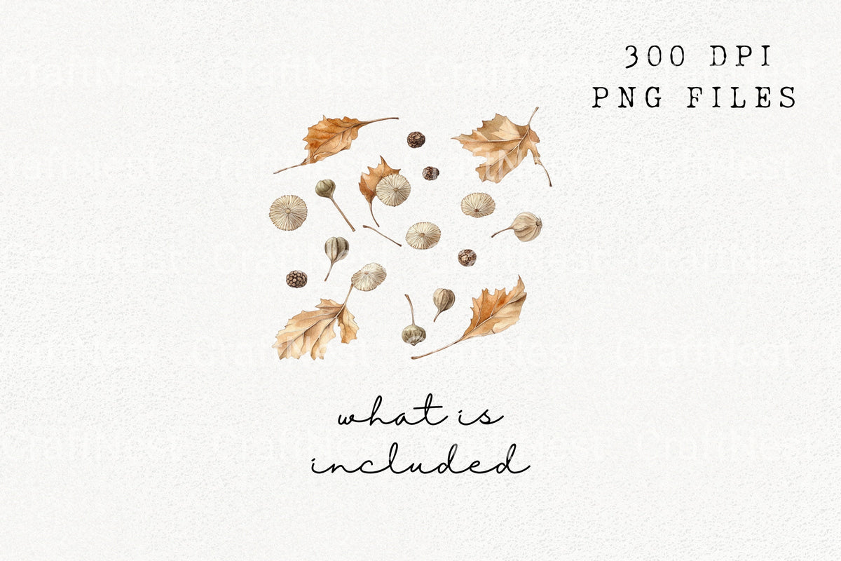 Autumn Leaves And Seeds Clipart Bundle
