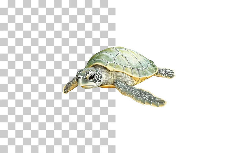 Baby Sea Turtle Nursery Clipart Bundle - CraftNest - Digital Crafting and Art