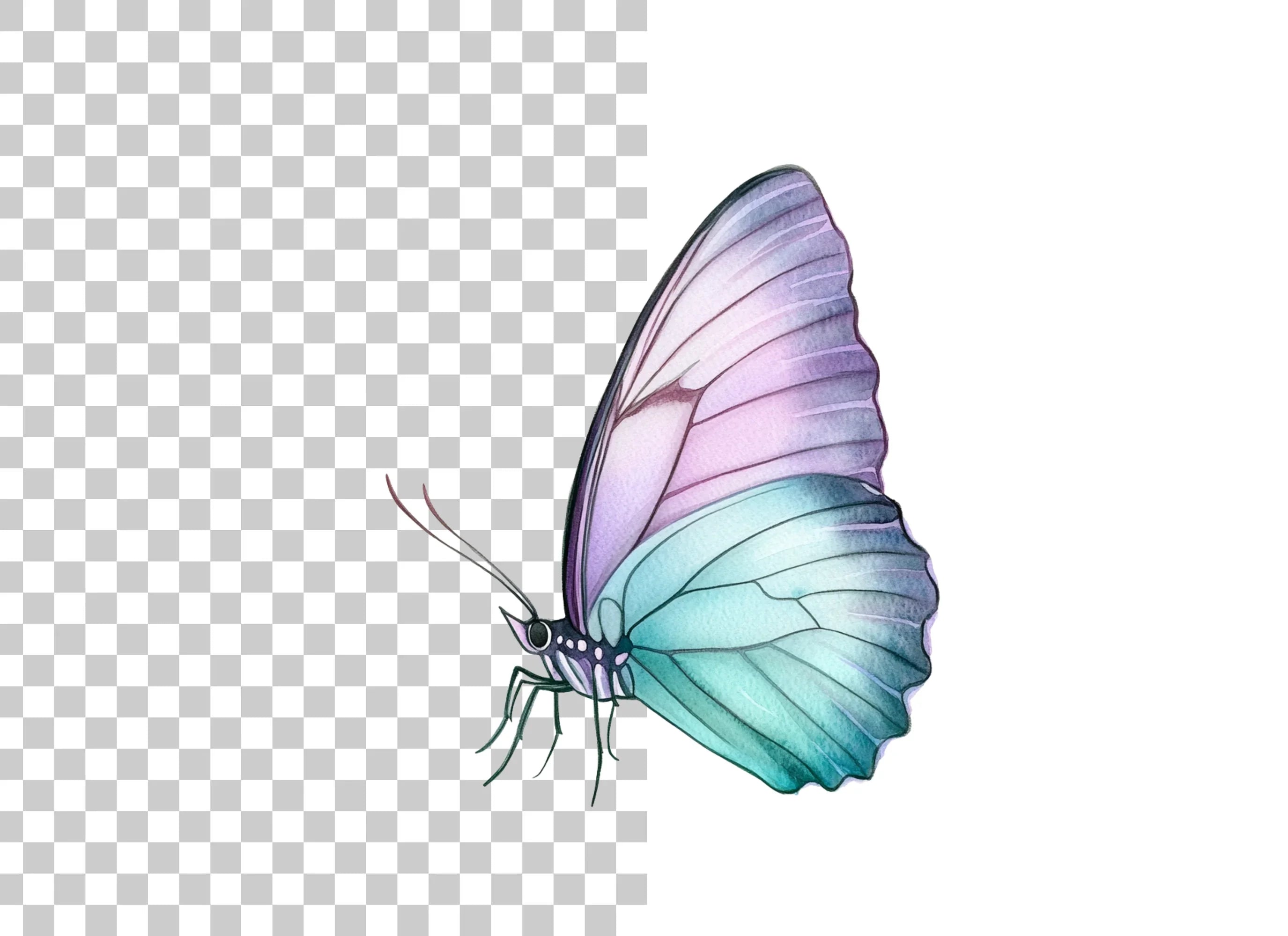 Pastel Butterfly Clipart Bundle