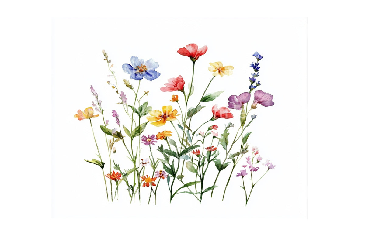 Wildflower Meadow Graphics Designs Clipart Bundle