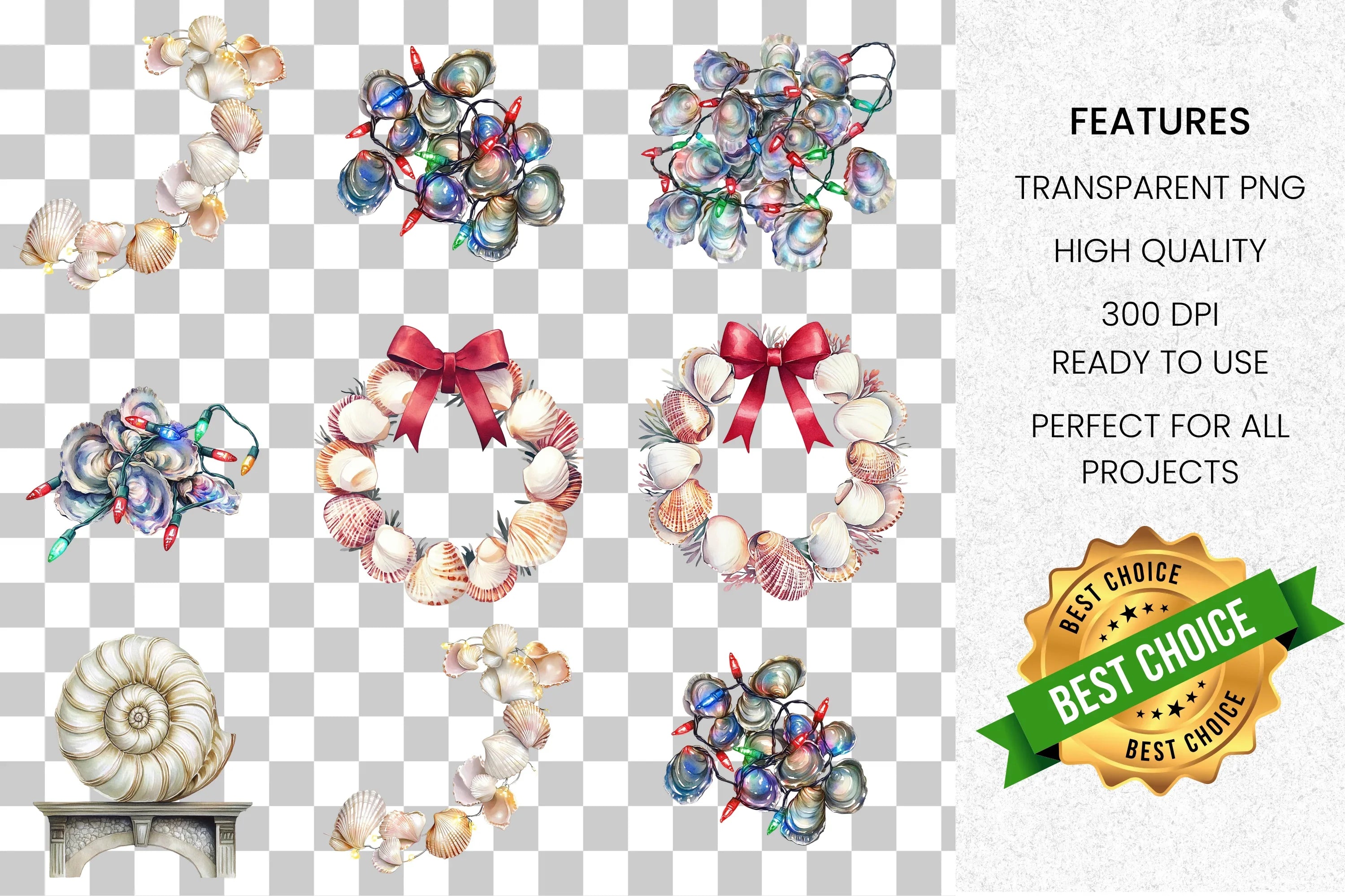 Coastal Seashells Clipart Bundle