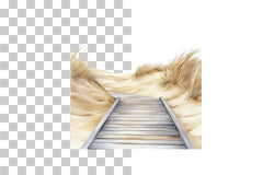 Beach Boardwalk Sand Dunes Clipart Bundle - CraftNest - Digital Crafting and Art