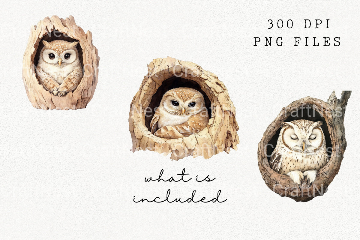 Sweet Baby Owls In Nests Clipart Bundle