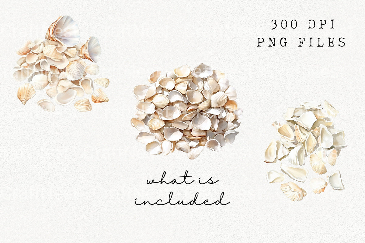 White Seashell Clipart Bundle