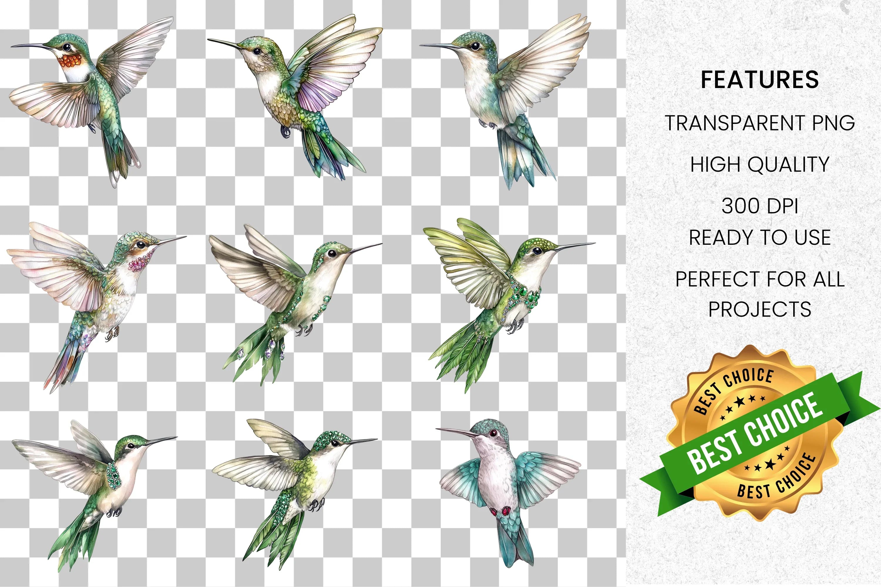 Elegant Hummingbirds Clipart Bundle