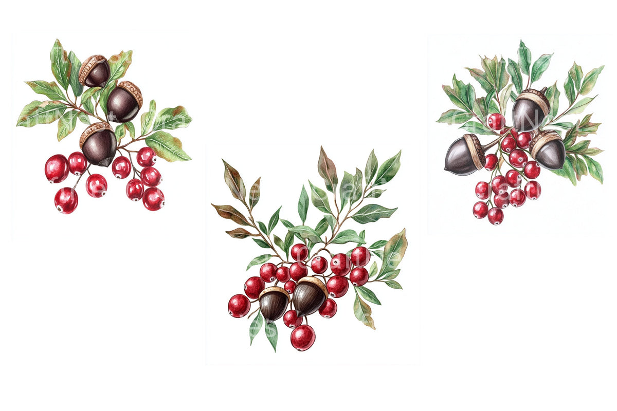 Autumn Berries And Acorns Branches Clipart Bundle