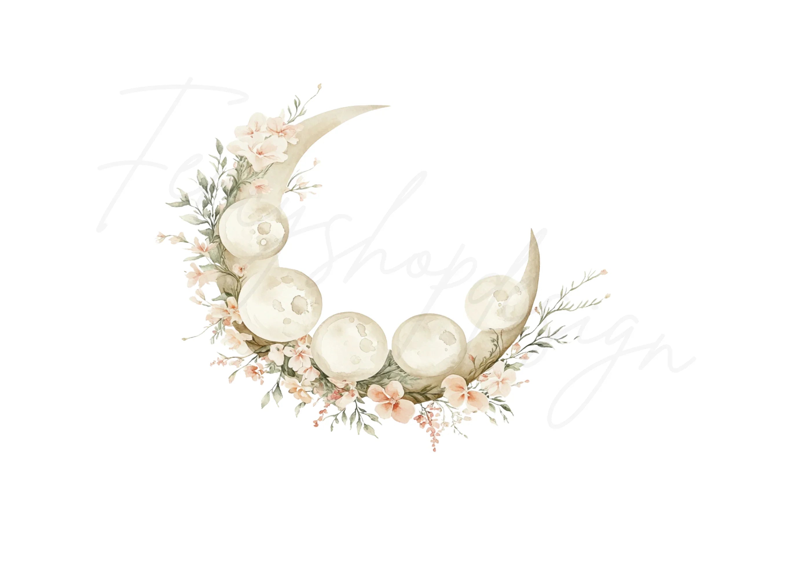 Floral Moon Phases Clipart Bundle