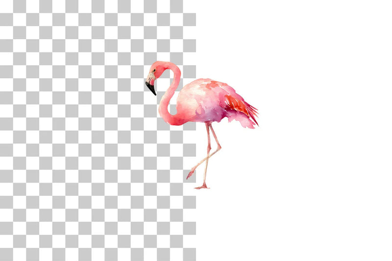 Flamingo Clipart Bundle - Etb197 - CraftNest - Digital Crafting and Art