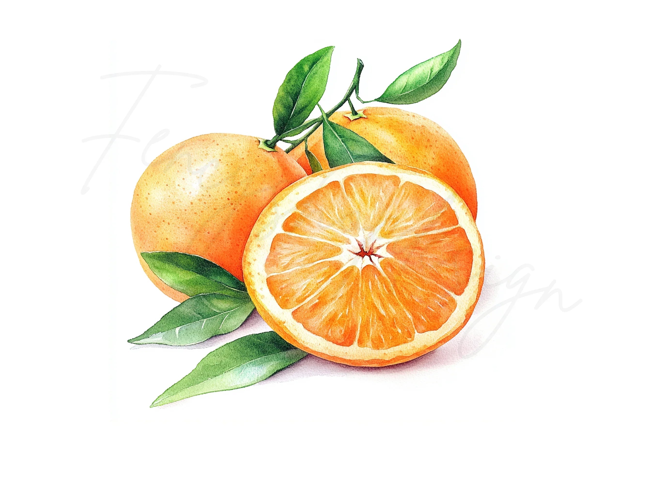 Fresh Orange Fruit Clipart Bundle