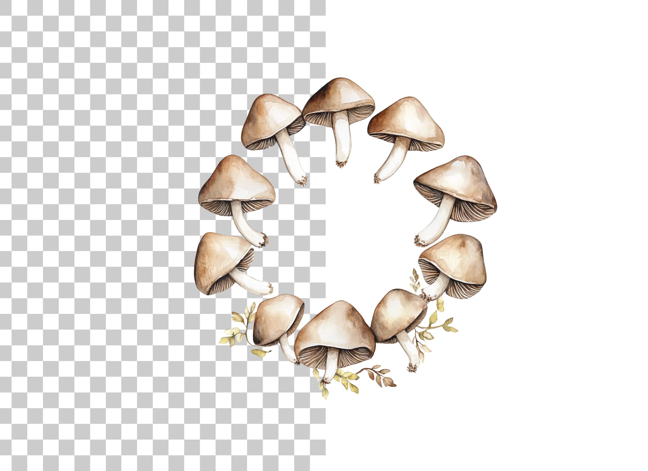 Earthy Mushroom Circle Clipart Bundle