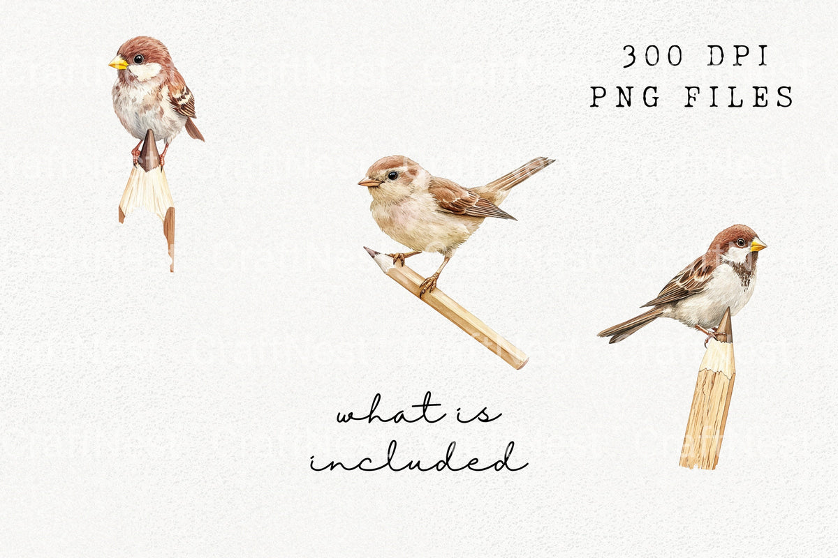 Artistic Sparrow And Pencil Artwork Clipart Bundle