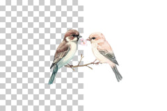 Romantic Love & Nature Clipart Bundle - CraftNest - Digital Crafting and Art