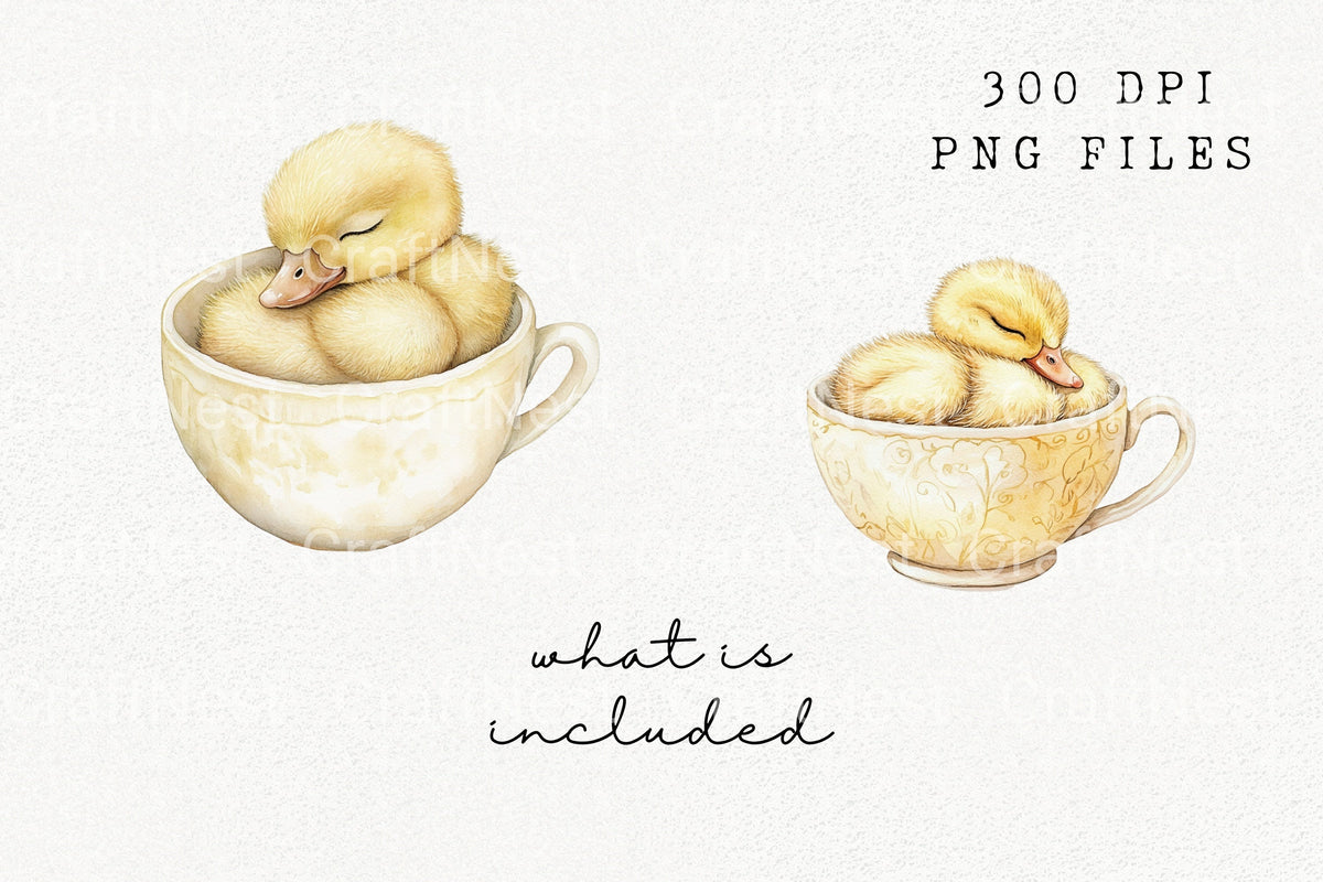Sleeping Baby Duckling In Cup Clipart Bundle