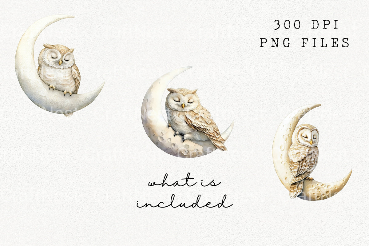 Sleeping Owl Clipart Bundle