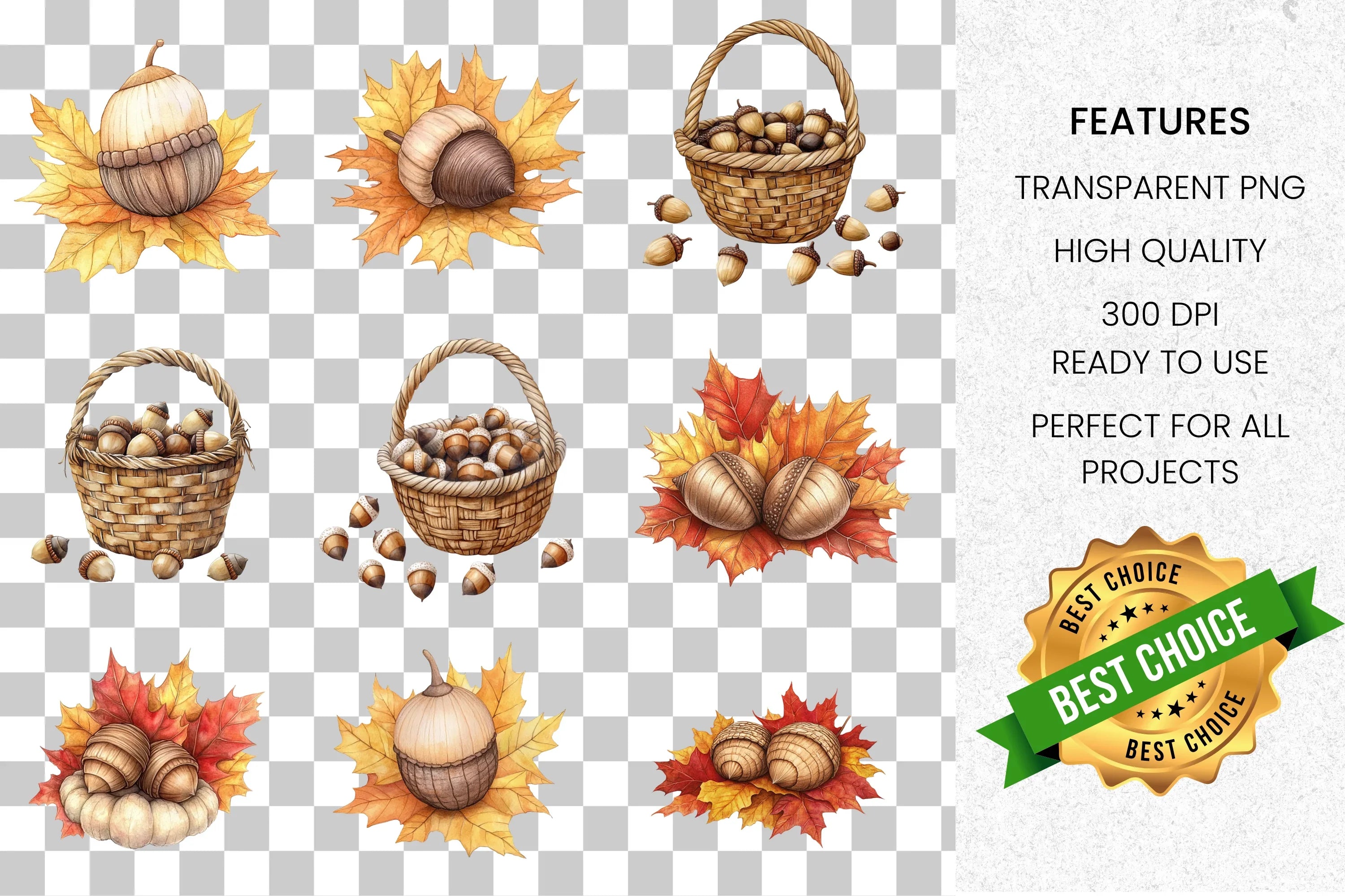 Autumn Acorn Harvest Cozy Drink Clipart Bundle