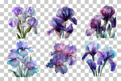 Iris Clipart Bundle: 400 Unique Designs - CraftNest - Digital Crafting and Art